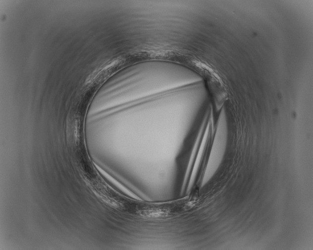 X0000081460740200702021807