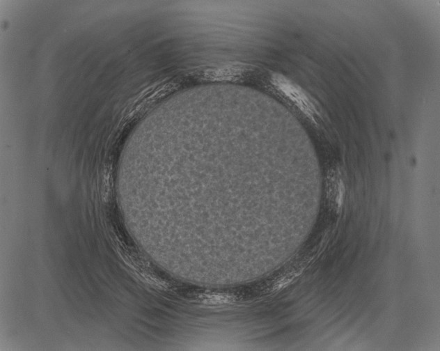 X0000081460741200702021807