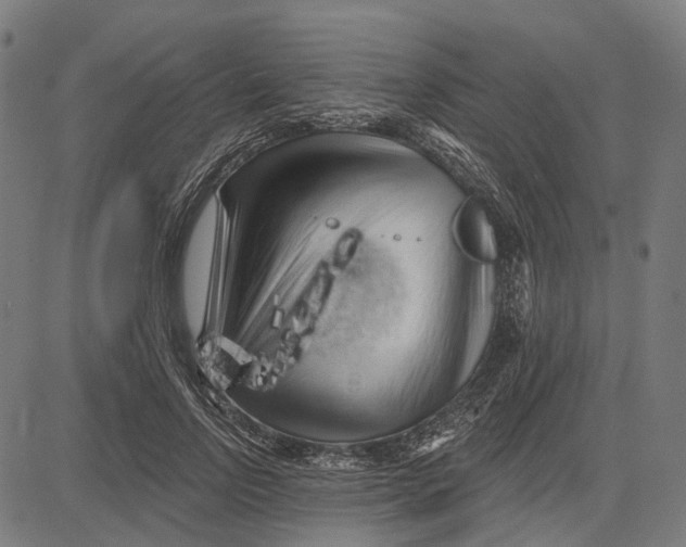 X0000081460742200702021807