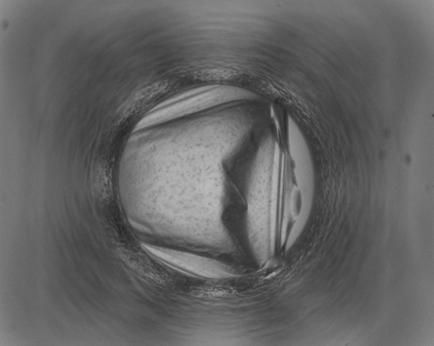 X0000081460743200702021807