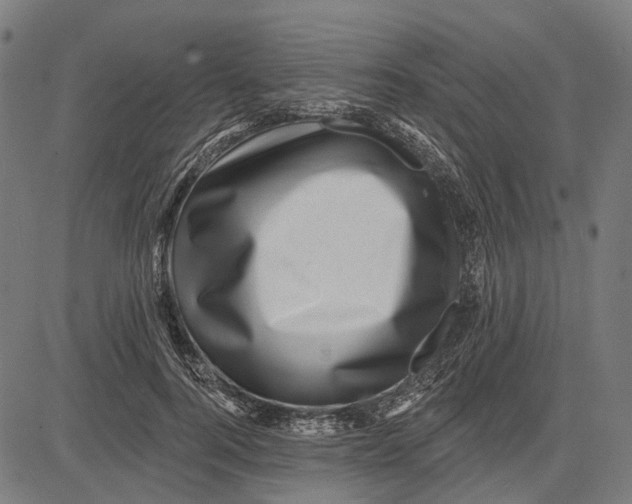 X0000081460744200702021807