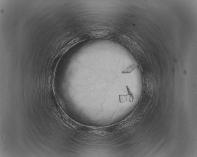 X0000081460745200702021807