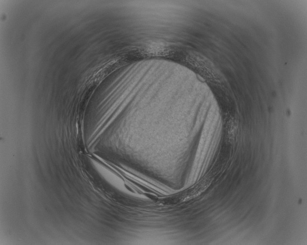 X0000081460746200702021807