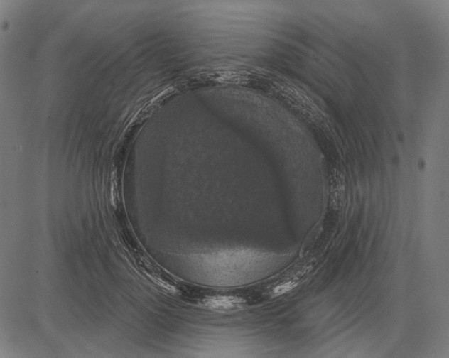 X0000081460748200702021807