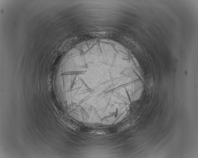 X0000081460749200702021807