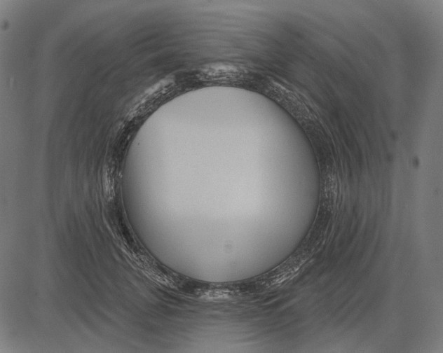 X0000081460751200702021807