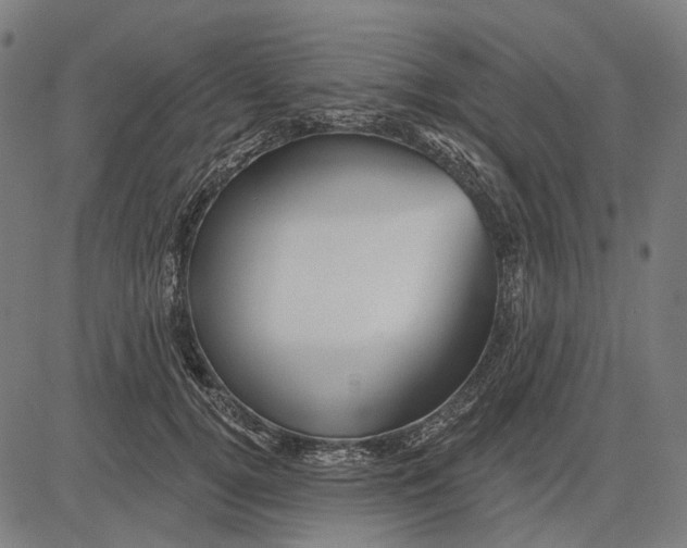 X0000081460752200702021807