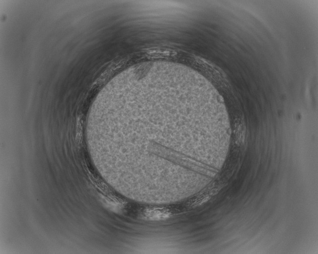 X0000081460753200702021807