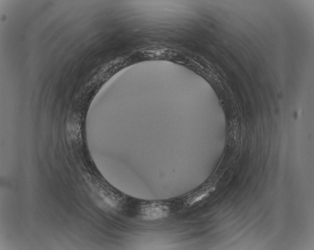 X0000081460754200702021807