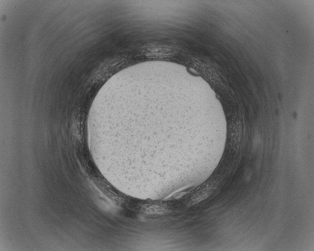 X0000081460755200702021807