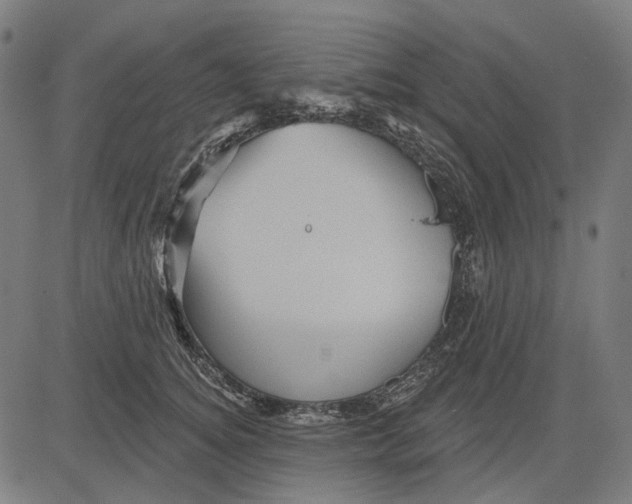 X0000081460756200702021807