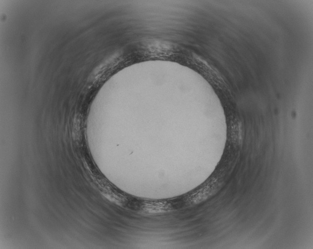 X0000081460757200702021807