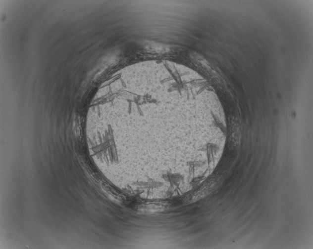X0000081460758200702021807
