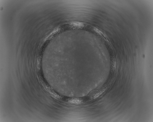 X0000081460759200702021807