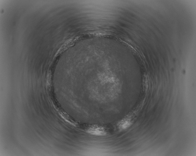 X0000081460760200702021807