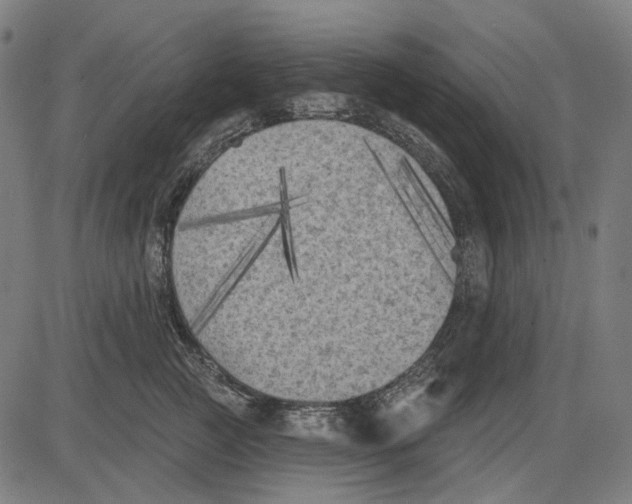 X0000081460761200702021807