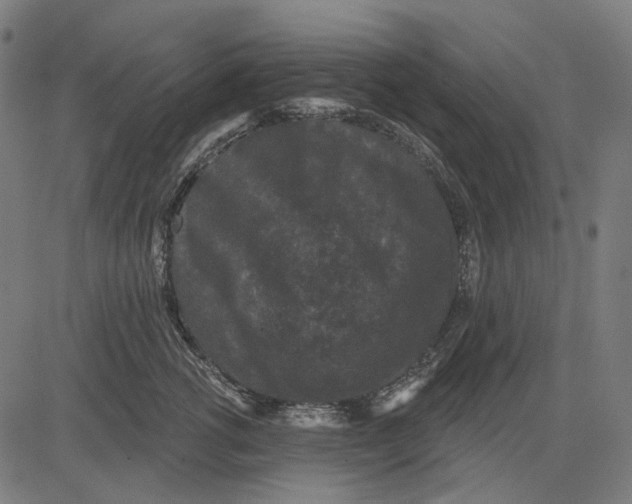 X0000081460762200702021807