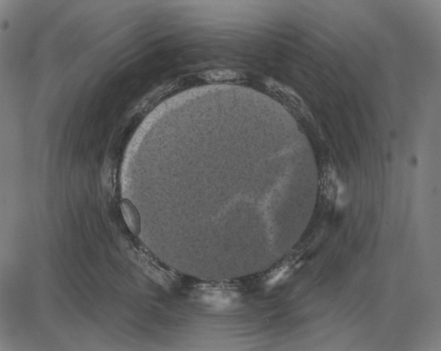 X0000081460763200702021807