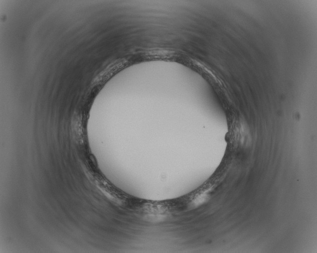 X0000081460764200702021807