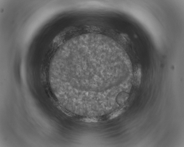 X0000081460765200702021807