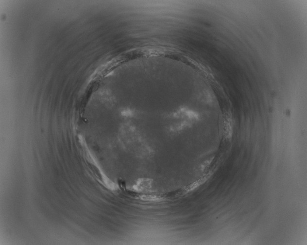 X0000081460766200702021807