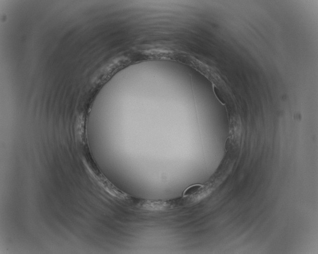 X0000081460767200702021807