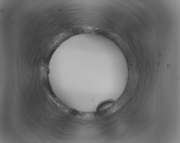 X0000081460768200702021807