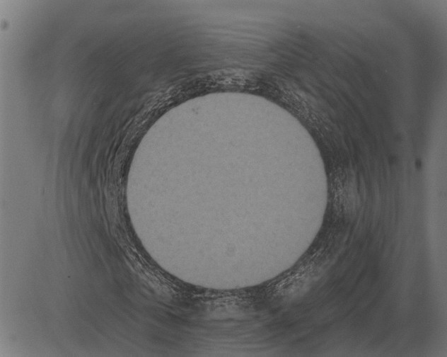 X0000081460769200702021806