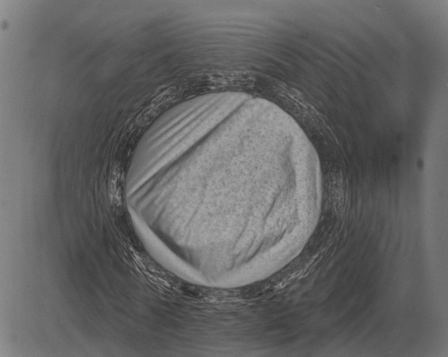 X0000081460770200702021806