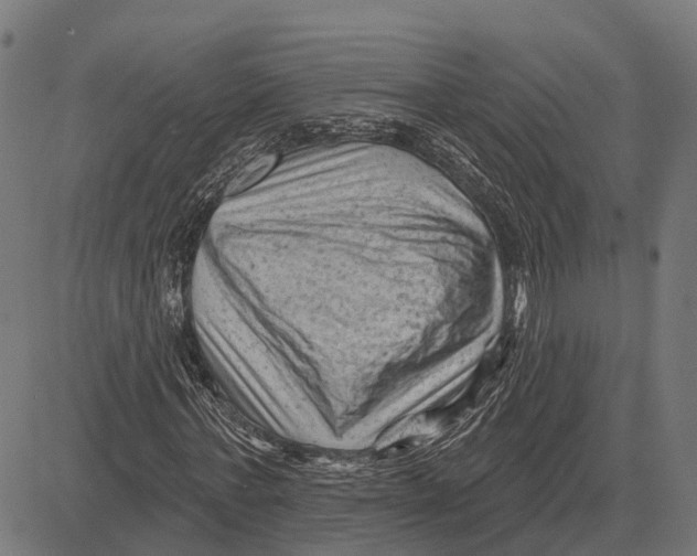 X0000081460771200702021806