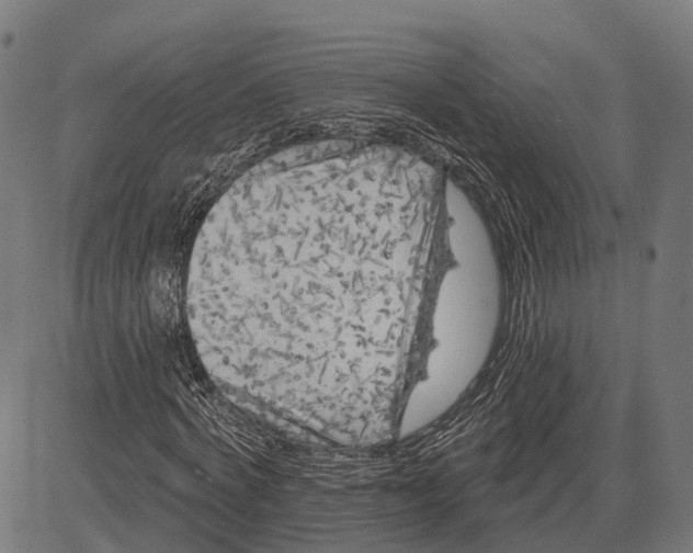 X0000081460772200702021806