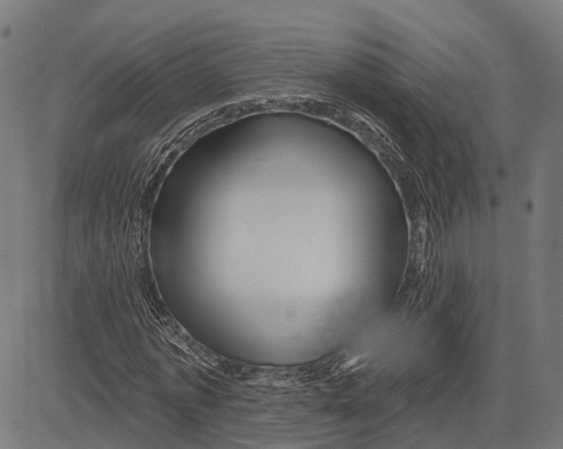 X0000081460773200702021806