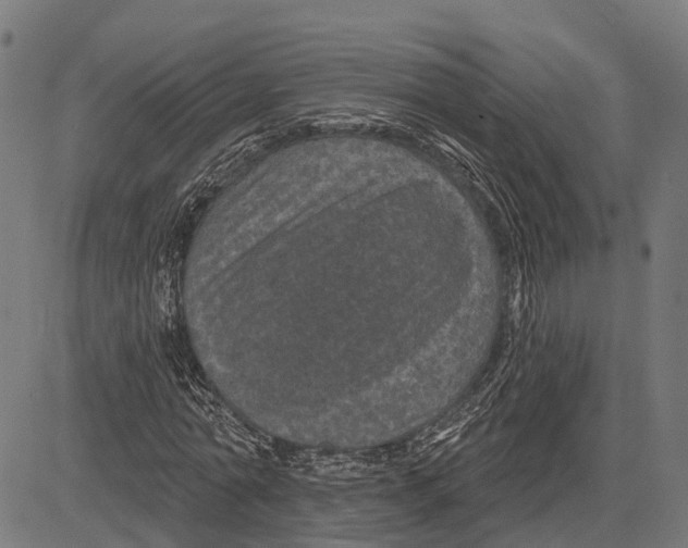 X0000081460774200702021806