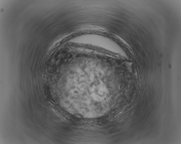 X0000081460775200702021806