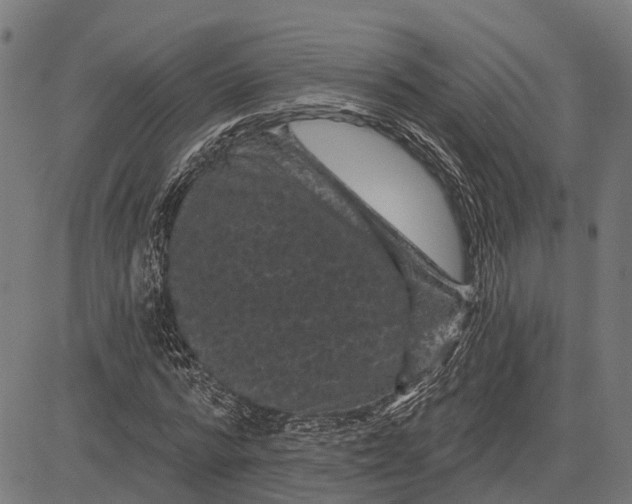 X0000081460776200702021806