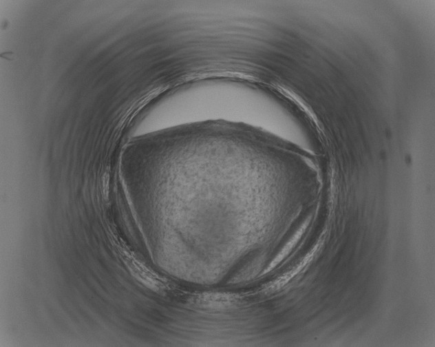 X0000081460777200702021806