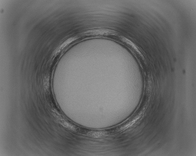 X0000081460778200702021806