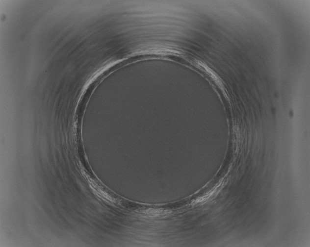 X0000081460779200702021806