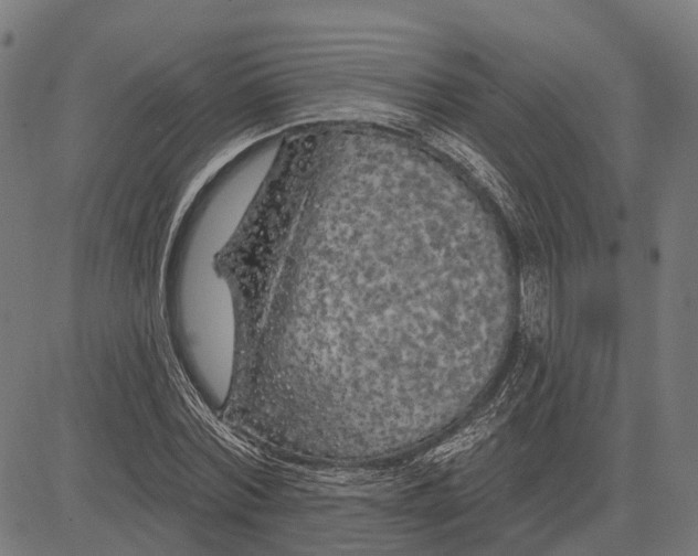 X0000081460780200702021806