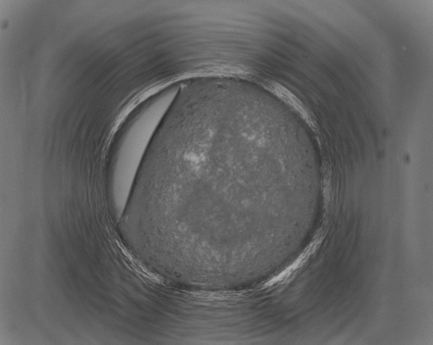 X0000081460781200702021806