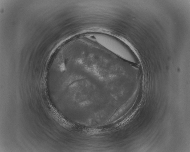 X0000081460783200702021806