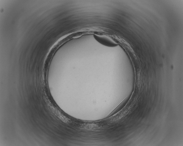 X0000081460784200702021806