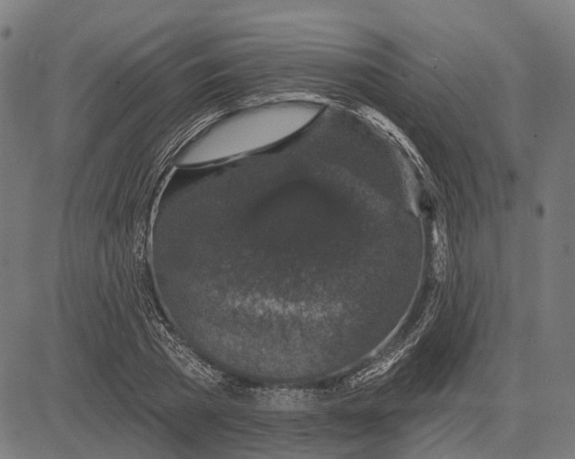 X0000081460785200702021806