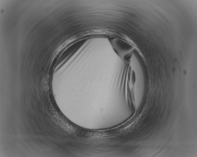 X0000081460786200702021806