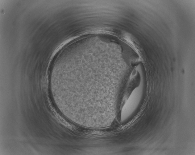 X0000081460787200702021806