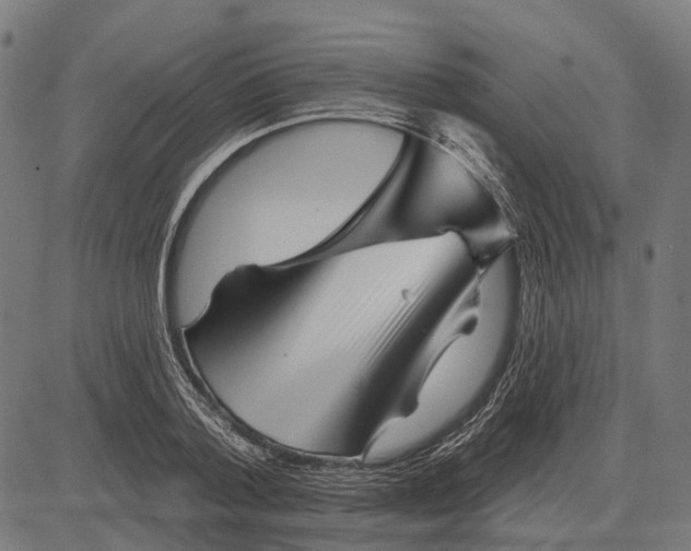 X0000081460788200702021806