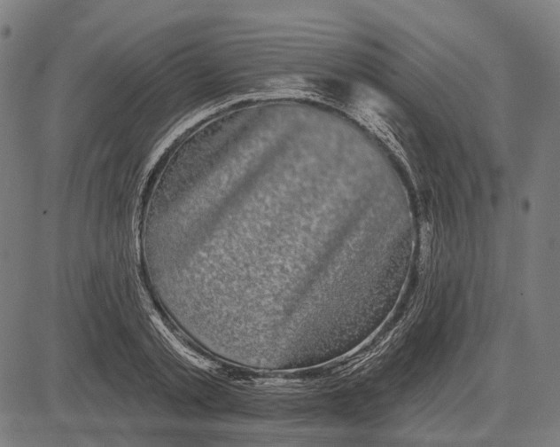 X0000081460789200702021806