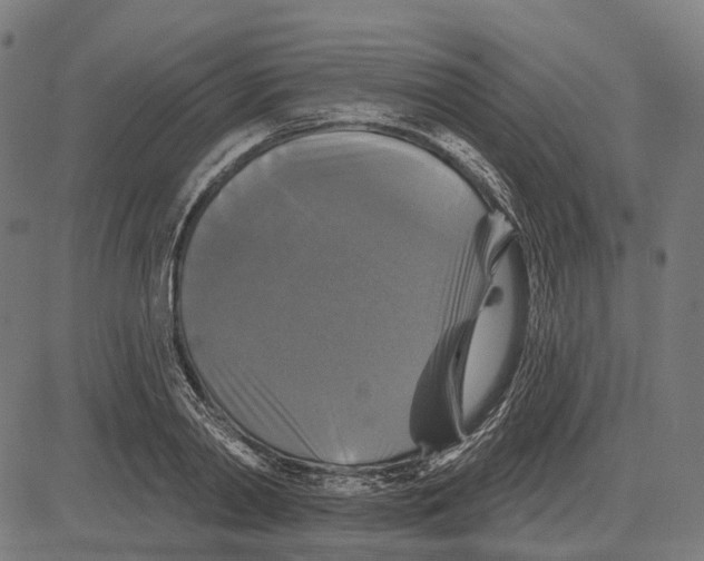 X0000081460790200702021806