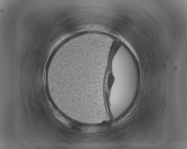 X0000081460791200702021806