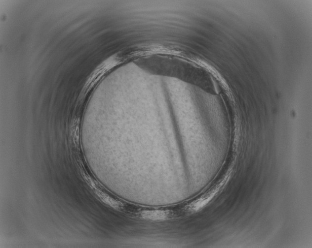 X0000081460793200702021806